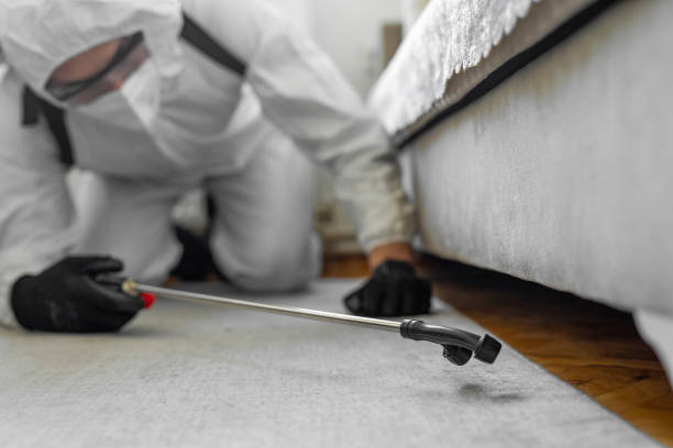 Professional Termite Control technician working in Bayshore, OR