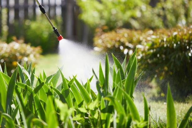 24/7 Emergency Termite Control experts in Bayshore, OR