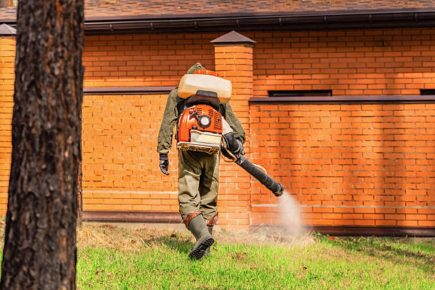 Trusted Termite Control service in Bayshore, OR - Nex Pest Control